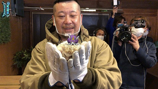 ���������꡼ No.001�Υ���ͥ������ / �֥ɥ饴�󥯥����ȥ���������YouTubeϢư���Ȥ��Ų��Ԥ�4��8������Ų�ī���ƥ�Ӥˤ���������