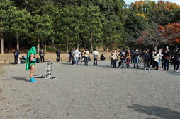 ꡼ No.025 | ֥ɥ饴󥯥ȥפΥꥢ륤٥Ȥ˻áǰबեɤȤʤꡤо졪ƥץǥ塼Υ󥿥ӥ塼