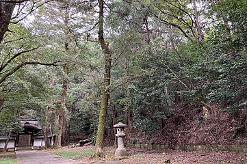 ꡼ No.029 | Υץ쥤ݡϡ֥ɥ饴󥯥ȥסߡ֥ݡȥԥϢ³ͻץܥ٥θȥ䥹ɤȶˡοͤȵԤθܺ衪