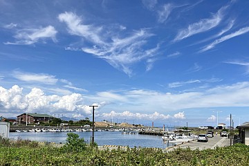 ꡼ No.036 | Υץ쥤ݡϡ֥ɥ饴󥯥ȥסߡ֥ݡȥԥϢ³ͻץܥ٥θȥ䥹ɤȶˡοͤȵԤθܺ衪