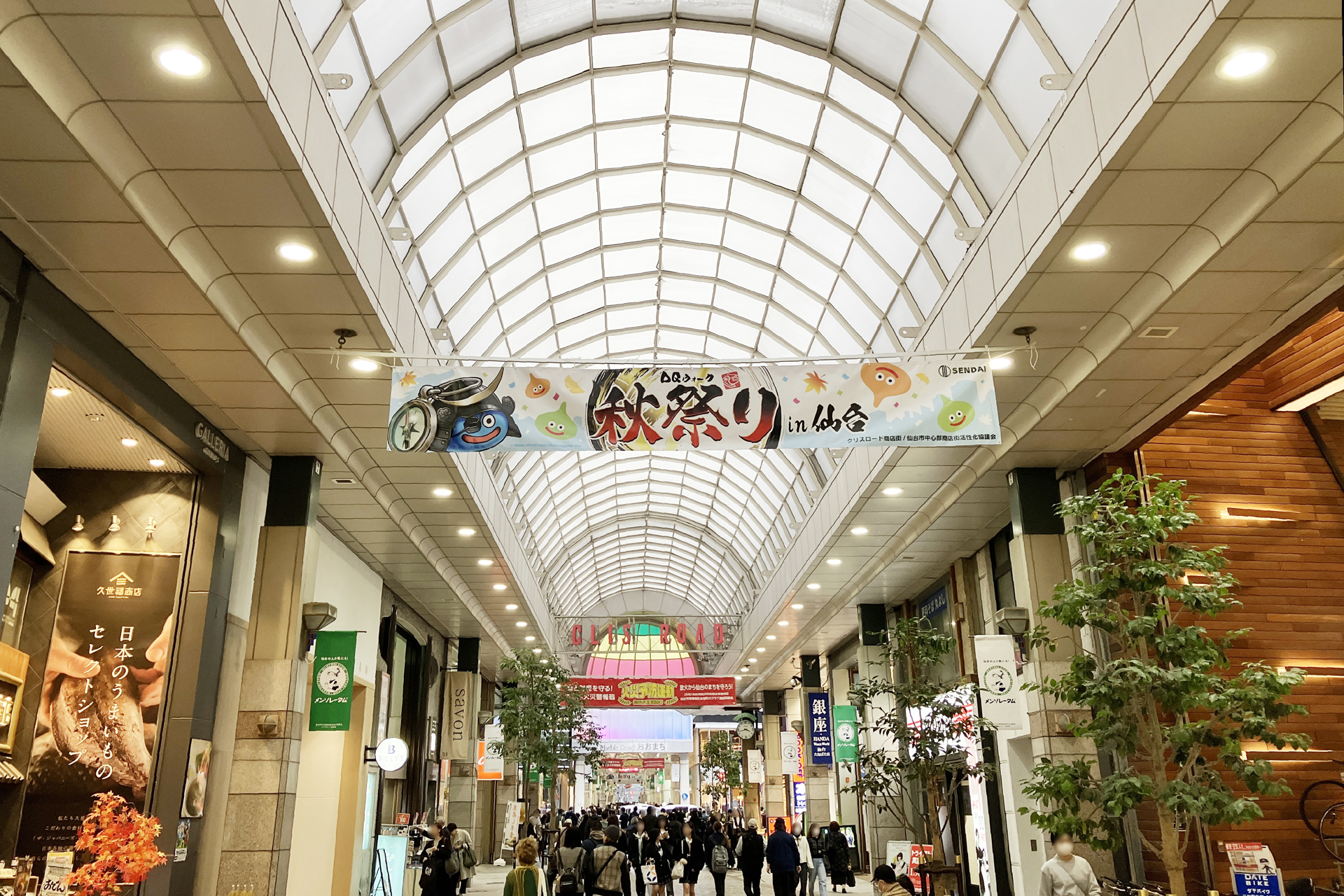 ꡼ No.003 | 5֥ɥ饴󥯥ȥ󥰡̡ס֥ɥ饴󥯥ȥפץݡȡ椬DQפǺ̤줿4֡󳫺ȯɽ