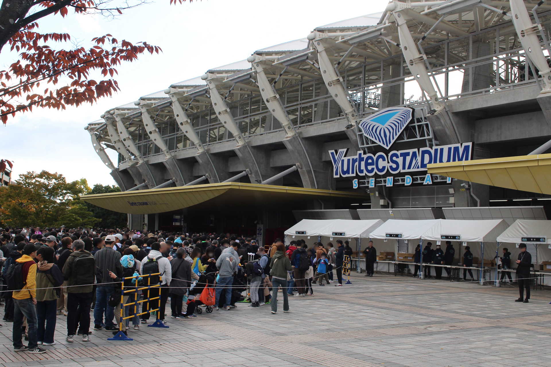 ꡼ No.015 | 5֥ɥ饴󥯥ȥ󥰡̡ס֥ɥ饴󥯥ȥפץݡȡ椬DQפǺ̤줿4֡󳫺ȯɽ