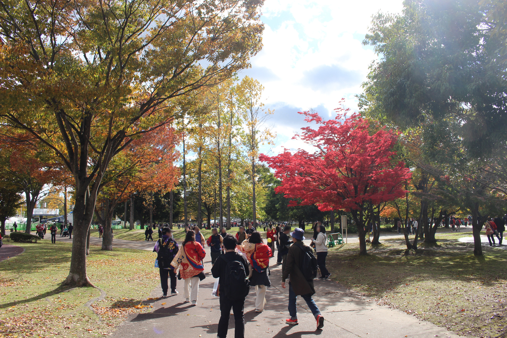 ꡼ No.021 | 5֥ɥ饴󥯥ȥ󥰡̡ס֥ɥ饴󥯥ȥפץݡȡ椬DQפǺ̤줿4֡󳫺ȯɽ