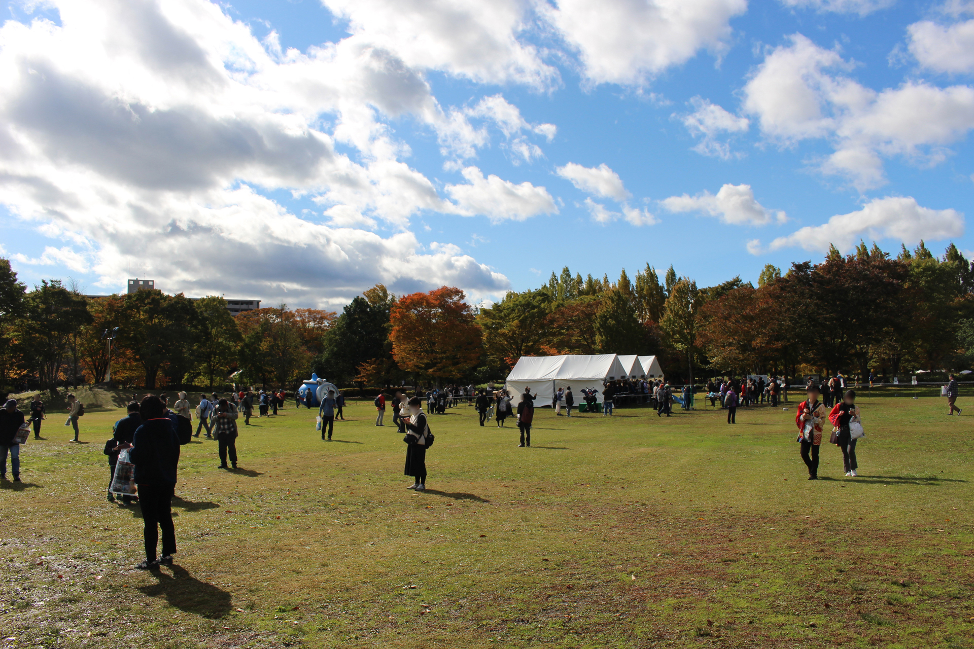 ꡼ No.022 | 5֥ɥ饴󥯥ȥ󥰡̡ס֥ɥ饴󥯥ȥפץݡȡ椬DQפǺ̤줿4֡󳫺ȯɽ