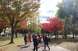 ���������꡼ No.021�Υ���ͥ������ / ��5��֥ɥ饴�󥯥����ȥ��������󥰡����̡�ס��֥ɥ饴�󥯥����ȥ����������פ�ץ�ݡ��ȡ��������椬��DQ���������פǺ̤�줿4���֡����󳫺�����ȯɽ