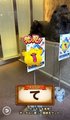 ���������꡼ No.038�Υ���ͥ������ / ��5��֥ɥ饴�󥯥����ȥ��������󥰡����̡�ס��֥ɥ饴�󥯥����ȥ����������פ�ץ�ݡ��ȡ��������椬��DQ���������פǺ̤�줿4���֡����󳫺�����ȯɽ