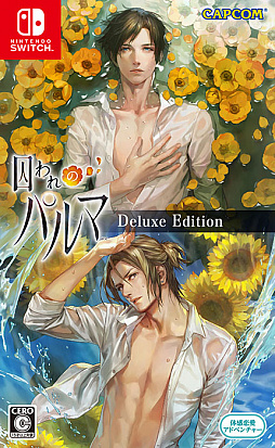 ���������꡼ No.002�Υ���ͥ������ / Nintendo Switch�ǡּ����Υѥ�ޡפ����Ѥʵ���������Ƥ����ֶ����ƥ��ܤ����ץ����ʡ������������ȤǸ���