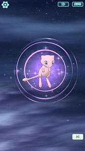 ꡼ No.003 | ֥ݥޥפ˿Хǥ֡3 ɡߥ奦פо졣֤ˤǤ֤3161459ޤ