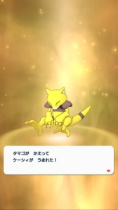 ���������꡼ No.011�Υ���ͥ������ / �֥ݥ����ޥ������� EX�ץ����䤬1500�Ĥ�館��������󥭥��ڡ��󳫺�