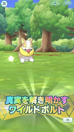 ꡼ No.012 | ֥ݥޥ EXסȿȥ󥪥ԡɤνϤ