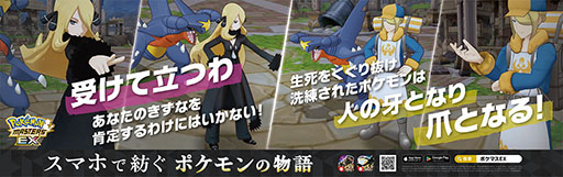 ꡼ No.004Υͥ / ֥ݥޥ EXסۿ5.5ǯǰƻ򥸥åADȥ쥤315ޤǱ