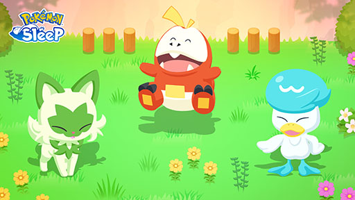 ꡼ No.004 | Pok&#00233;mon Sleepפ˥˥㥪ϡۥåо졣715˥Ȥ1ǯǰեƥХξܺ٤餫