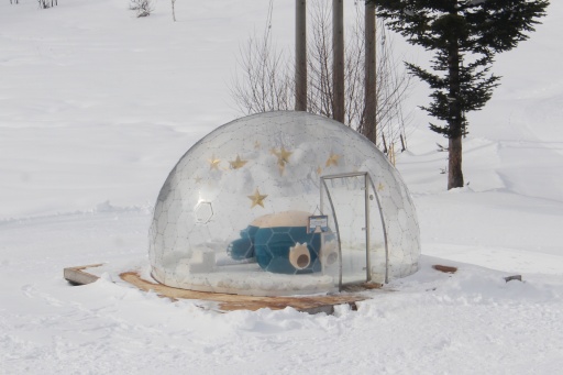 ���������꡼ No.005�Υ���ͥ������ / �ݥ���󤬥�������˽и��桪 �㻳�ǥ��ӥ����ź�������Ǥ���ּ����䥹������ե��ߥ꡼�ѡ�����Pok���mon Sleep�ץ���ܥ��٥�ȸ��ϥ�ݡ���