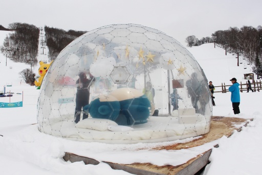 ���������꡼ No.006�Υ���ͥ������ / �ݥ���󤬥�������˽и��桪 �㻳�ǥ��ӥ����ź�������Ǥ���ּ����䥹������ե��ߥ꡼�ѡ�����Pok���mon Sleep�ץ���ܥ��٥�ȸ��ϥ�ݡ���