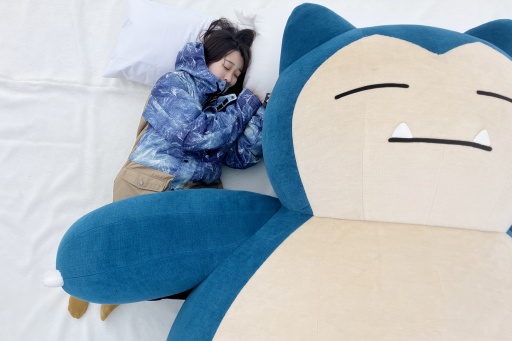 ���������꡼ No.009�Υ���ͥ������ / �ݥ���󤬥�������˽и��桪 �㻳�ǥ��ӥ����ź�������Ǥ���ּ����䥹������ե��ߥ꡼�ѡ�����Pok���mon Sleep�ץ���ܥ��٥�ȸ��ϥ�ݡ���