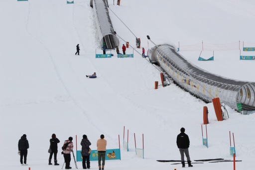 ���������꡼ No.017�Υ���ͥ������ / �ݥ���󤬥�������˽и��桪 �㻳�ǥ��ӥ����ź�������Ǥ���ּ����䥹������ե��ߥ꡼�ѡ�����Pok���mon Sleep�ץ���ܥ��٥�ȸ��ϥ�ݡ���