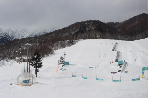 ���������꡼ No.021�Υ���ͥ������ / �ݥ���󤬥�������˽и��桪 �㻳�ǥ��ӥ����ź�������Ǥ���ּ����䥹������ե��ߥ꡼�ѡ�����Pok���mon Sleep�ץ���ܥ��٥�ȸ��ϥ�ݡ���