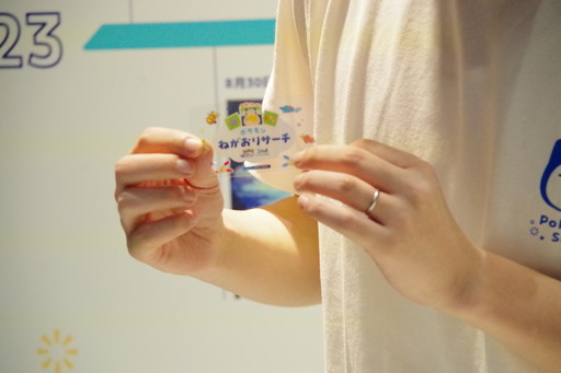 ꡼ No.015 | Ĺ3mε祫ӥ󤬽иëؼդPokmon Sleep 2nd Anniversary ëǤߤäݥͤꥵ׳