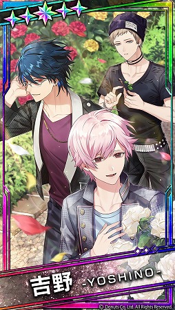 ꡼ No.017Υͥ / ֥֥åסָ٥ ȤҤҤɤ