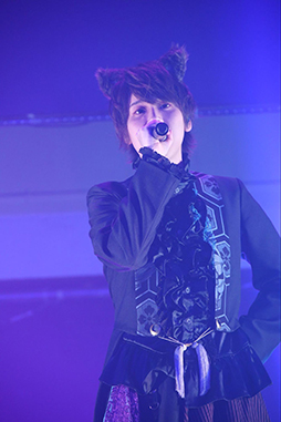 ꡼ No.003Υͥ / ֥֥åס2ܤȤʤ륯֥٥ȡBLACK HALLOWEENɤθݡȤ