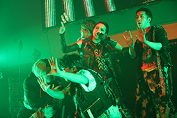 ꡼ No.005Υͥ / ֥֥åס2ܤȤʤ륯֥٥ȡBLACK HALLOWEENɤθݡȤ