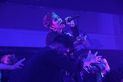 ꡼ No.010Υͥ / ֥֥åס2ܤȤʤ륯֥٥ȡBLACK HALLOWEENɤθݡȤ