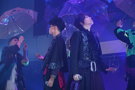 ꡼ No.012Υͥ / ֥֥åס2ܤȤʤ륯֥٥ȡBLACK HALLOWEENɤθݡȤ