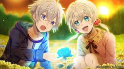 ꡼ No.003 | ֻ׻ųݤΥݥץפҲ𡣷֤ᤷۤƹĤ⤦