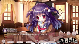 ������ߥ��Υ� Q-bit -����-