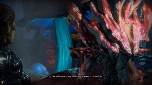 ���������꡼ No.020�Υ���ͥ������ / ��Baldur's Gate III�פκǿ��ȥ쥤�顼�����������������꡼����������2020ǯ8��⡩