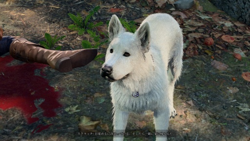 ���������꡼ No.046�Υ���ͥ������ / ����ԥ塼��RPG�˴��줭�ä������ޡ��ϡ������ˤ��ơȼ�äĤ��ˤ����ɤ��ɤ���ۤ����֥Х��������������3�פ�600���֤���䤹���Ȥˤʤä��Τ�