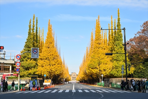 画像ギャラリー No.011のサムネイル画像 / 年末企画記事はどの記事が一番読まれた? 恒例の著名人コメントから話題作を題材にした企画モノまでトップ10を紹介