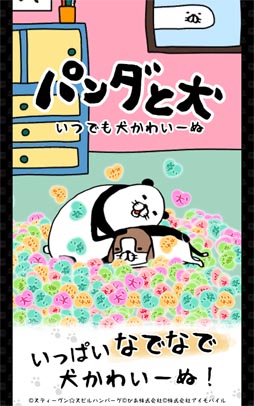 パンダと犬 いつでも犬かわいーぬ