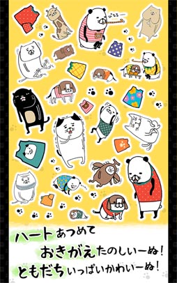 パンダと犬 いつでも犬かわいーぬ