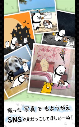 パンダと犬 いつでも犬かわいーぬ