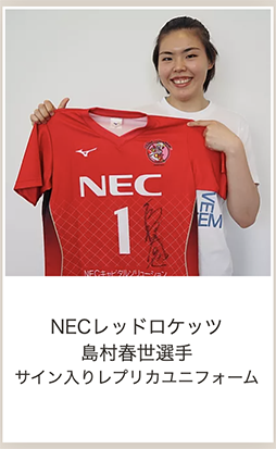 ���������꡼ No.004�Υ���ͥ������ / ��One KANAGAWA Sports All-Star Cup 2020�ס������ƥ������������򳫻�