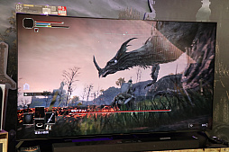 ���������꡼ No.006�Υ���ͥ������ / ��ELDEN RING�פ�ȯ�䵭ǰ���٥�Ȥ����ˡ����ȥ�ľ��Ź�ˤƳ����档��¤ǹԤ��Ƥ���Ÿ���������ͤ��ݡ���