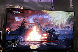 ���������꡼ No.007�Υ���ͥ������ / ��ELDEN RING�פ�ȯ�䵭ǰ���٥�Ȥ����ˡ����ȥ�ľ��Ź�ˤƳ����档��¤ǹԤ��Ƥ���Ÿ���������ͤ��ݡ���