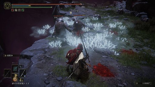 ���������꡼ No.009�Υ���ͥ������ / ��ELDEN RING�ס��ǹ�Ǥ��������ꥢ�����ΤǸ�ꤿ�������������Ƿ��깭����Ȼ�˥����ɤγڤ����ȡ����ʤ��Ƥ��ä�1�Ĥ�̴