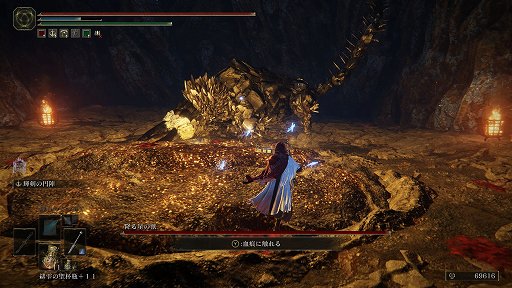 ���������꡼ No.010�Υ���ͥ������ / ��ELDEN RING�ס��ǹ�Ǥ��������ꥢ�����ΤǸ�ꤿ�������������Ƿ��깭����Ȼ�˥����ɤγڤ����ȡ����ʤ��Ƥ��ä�1�Ĥ�̴