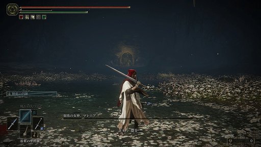 ���������꡼ No.017�Υ���ͥ������ / ��ELDEN RING�ס��ǹ�Ǥ��������ꥢ�����ΤǸ�ꤿ�������������Ƿ��깭����Ȼ�˥����ɤγڤ����ȡ����ʤ��Ƥ��ä�1�Ĥ�̴