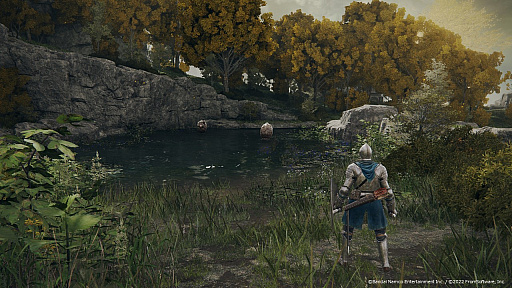 ꡼ No.019 | CEDECKYUSHUϡELDEN RINGפϡȤƤʤѡɤˤꡣͳõǤ륪ץեɡŪŨΥ⡼κ