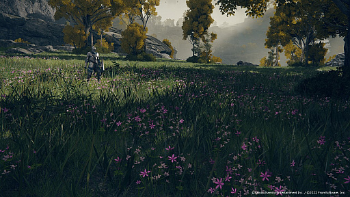 ꡼ No.020 | CEDECKYUSHUϡELDEN RINGפϡȤƤʤѡɤˤꡣͳõǤ륪ץեɡŪŨΥ⡼κ