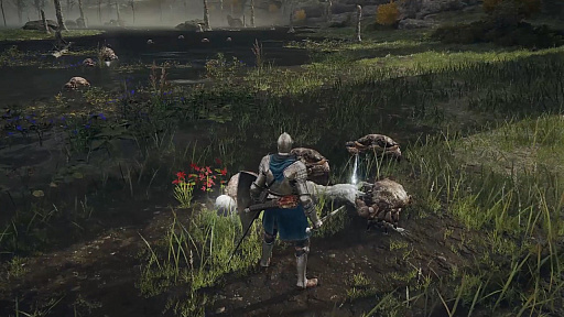 ꡼ No.023 | CEDECKYUSHUϡELDEN RINGפϡȤƤʤѡɤˤꡣͳõǤ륪ץեɡŪŨΥ⡼κ