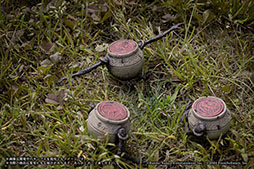 ���������꡼ No.010�Υ���ͥ������ / ��ELDEN RING ����ե����奢�ס��������缡��꡼�����ݡ����ΰۤʤ�������Ƥ��뾮��פ䥯�ꥢ�ѡ��ĤΡ��ù���Ϻ�����ΰ䳥�פ��Ѱ�