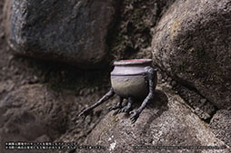 ���������꡼ No.011�Υ���ͥ������ / ��ELDEN RING ����ե����奢�ס��������缡��꡼�����ݡ����ΰۤʤ�������Ƥ��뾮��פ䥯�ꥢ�ѡ��ĤΡ��ù���Ϻ�����ΰ䳥�פ��Ѱ�