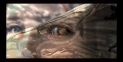 ꡼ No.003 | E3 2019Nintendo SwitchǡTHE LAST REMNANT RemasteredפȯɽMy Nintendo Storeȯ