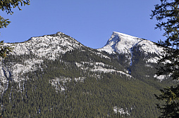 ꡼ No.001 | ʥХդǵѥե󥹡REBOOT Develop REDפšץ˥󥰤ȿĹˤĴֱݡ