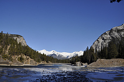 ꡼ No.003 | ʥХդǵѥե󥹡REBOOT Develop REDפšץ˥󥰤ȿĹˤĴֱݡ