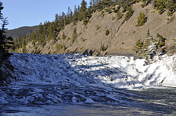 ꡼ No.005 | ʥХդǵѥե󥹡REBOOT Develop REDפšץ˥󥰤ȿĹˤĴֱݡ